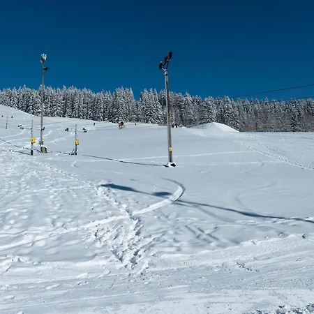 Casa de hóspedes Pod Svetlym Vrchem